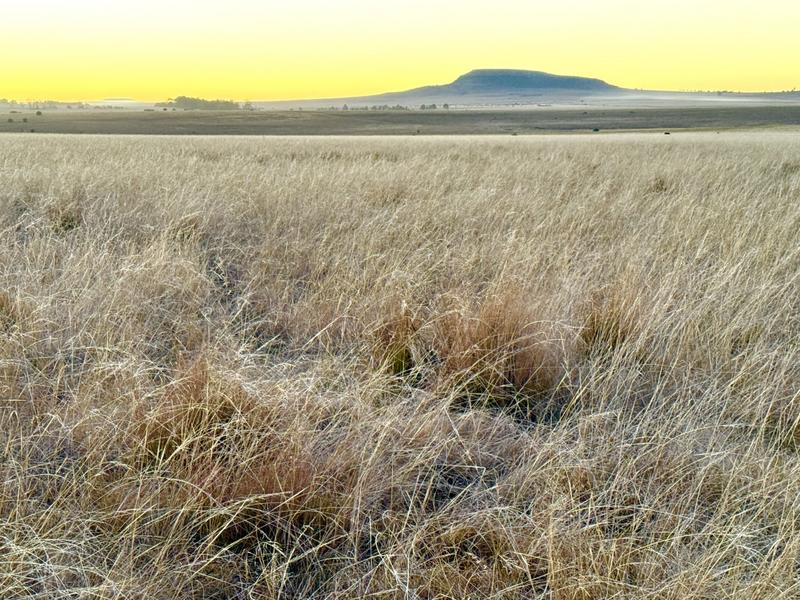 0 Bedroom Property for Sale in Warden Free State